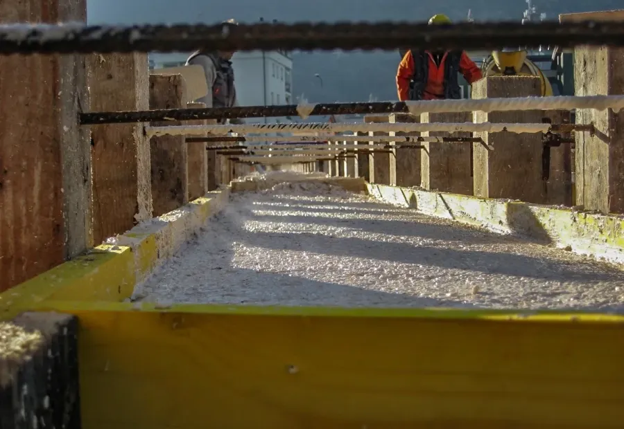 SONDRIO (SO) &ndash; AREA CARINI